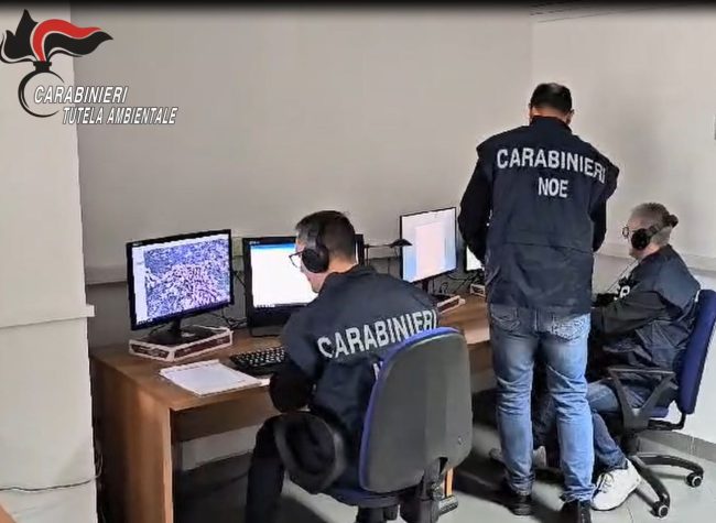 Traffico illecito di rifiuti e riciclaggio nel Palermitano: tre arresti – VIDEO