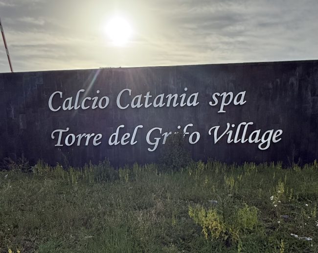 Un’asta dopo l’altra: perché Torre del Grifo non trova ancora un acquirente – FOTO