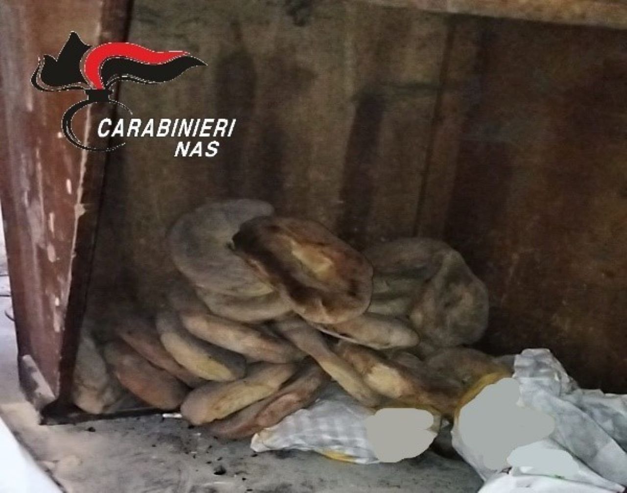 Nas di Catania, sequestrato un panificio nell’area dei paesi etnei: riscontrate gravi carenze igienico-sanitarie