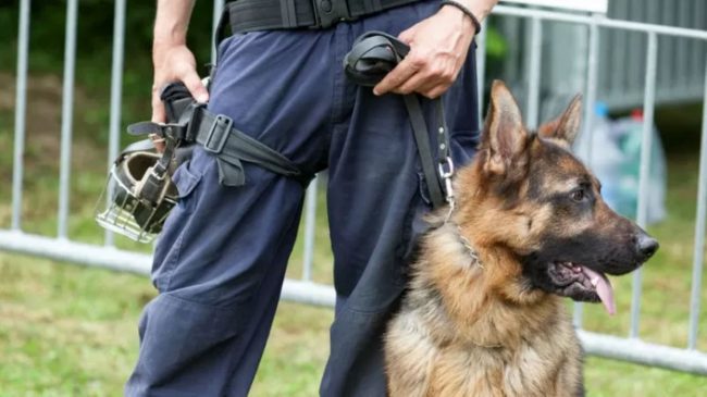 Palermo, hashish e denaro nascosti nel sottotetto: arrestato 21enne