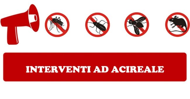 Acireale, al via interventi di deblattizzazione e disinfestazione: le raccomandazioni