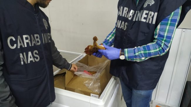 Insetti e ragnatele in un agriturismo a Enna: sequestrati 40kg di alimenti