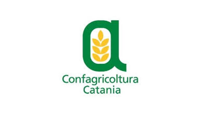 Crisi agricola nella Piana di Catania: agricoltori in rivolta per le cartelle esattoriali