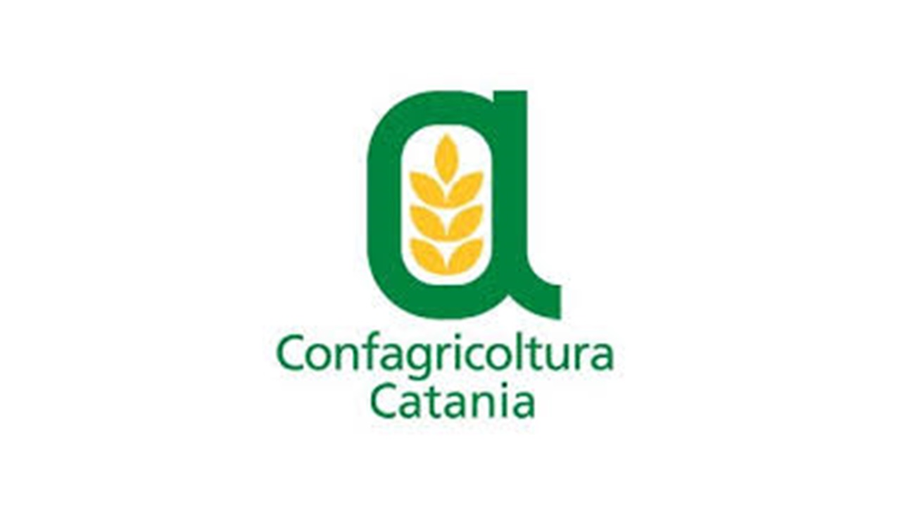 Crisi agricola nella Piana di Catania: agricoltori in rivolta per le cartelle esattoriali