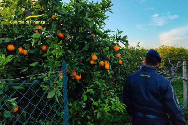 Braccianti sfruttati nei campi senza riposo, un arresto a Palagonia