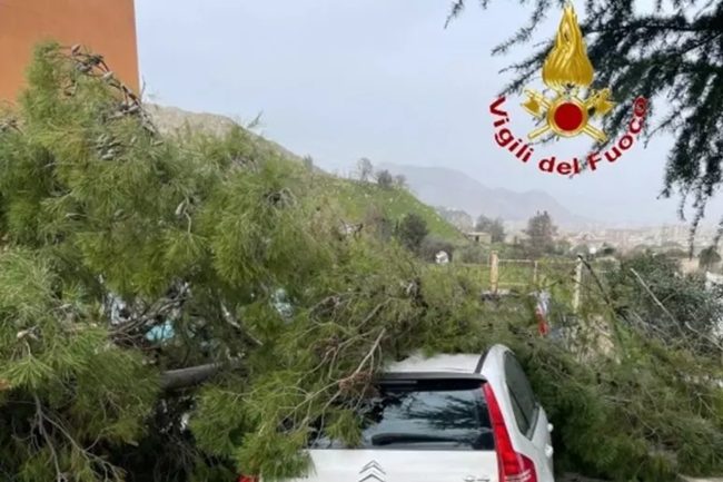 Palermo sferzata dallo scirocco: oltre 70 interventi dei vigili del fuoco, albero cade su auto