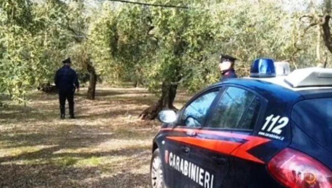 Raid a Ravanusa, danneggiato vigneto di un 74enne