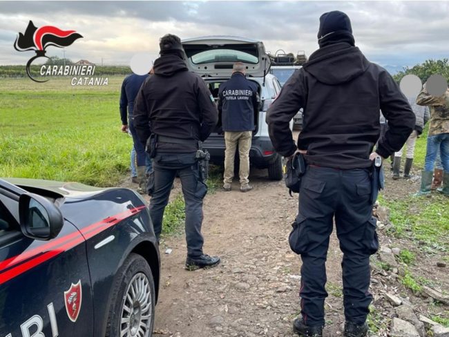 Caporalato nelle campagne di Paternò: tre denunce per sfruttamento del lavoro