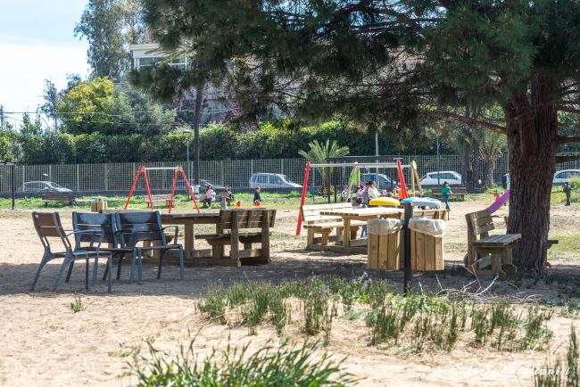 Nuova vita per il boschetto della Plaia: più arredi, giochi inclusivi e percorsi green