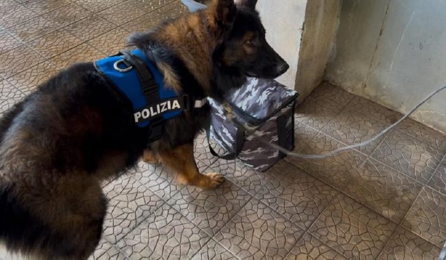 Catania, droga in una cantina a Zia Lisa: arrestato 52enne