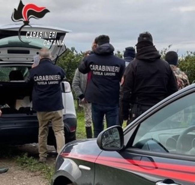 Paternò, lotta al caporalato e sfruttamento: 90 centesimi a cassetta per i lavoratori
