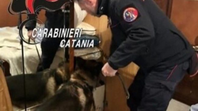 Paternò, scoperto traffico di cocaina: arrestato 41enne per spaccio