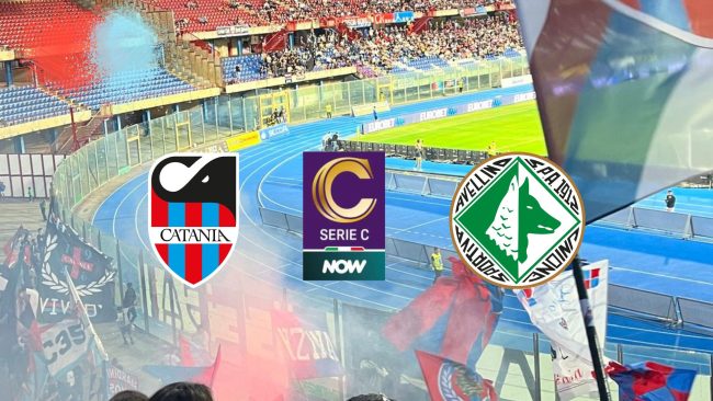 FINALE Catania-Avellino 1 – 2: per gli ospiti una vittoria dal sapore di Serie B