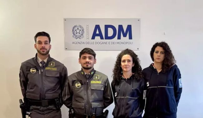 Sequestro di 2,5 milioni di bicchieri e piatti in plastica: denunciato importatore per frode commerciale