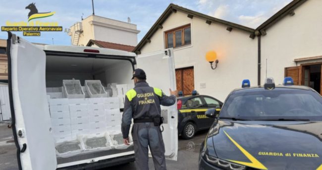 Palermo, sequestrate 2 tonnellate di novellame di sarda: sanzioni fino a 75mila euro