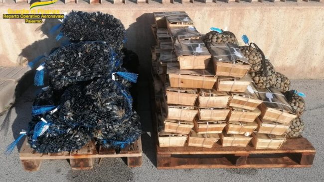 Operazione contro il traffico illegale di prodotti ittici: sequestrati 500 kg di molluschi privi di tracciabilità e non idonei al consumo