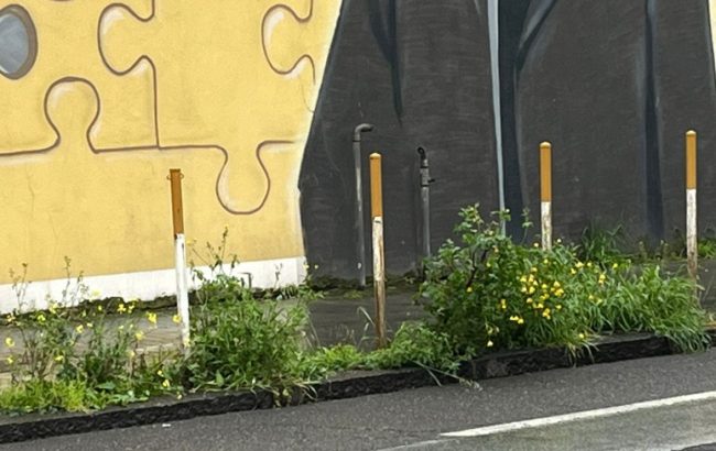 Erbacce fuori controllo sui marciapiedi di Borgo-Sanzio. Cerri (III Municipio): “Servono interventi urgenti di scerbatura”