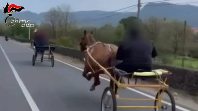 Corse clandestine di cavalli nel Catanese: tre denunce e sequestro di mezzi e animali
