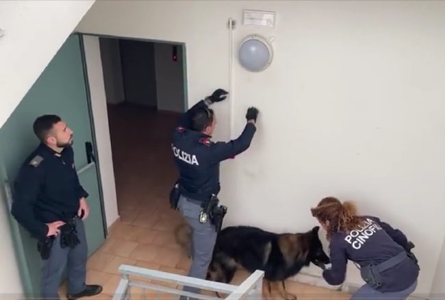 Librino, sequestrata marijuana nascosta dietro una plafoniera – VIDEO