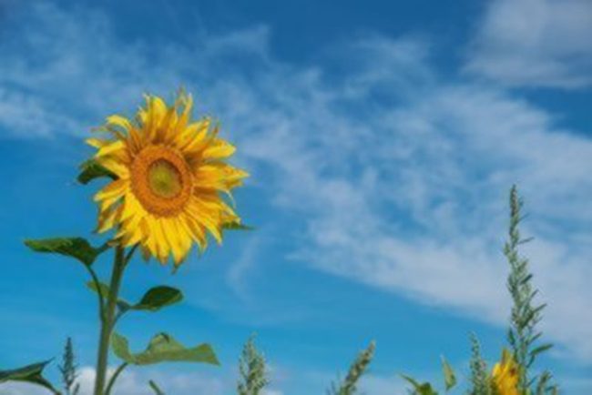 Meteo Sicilia, torna a splendere il sole sull’Isola: le previsioni per domani