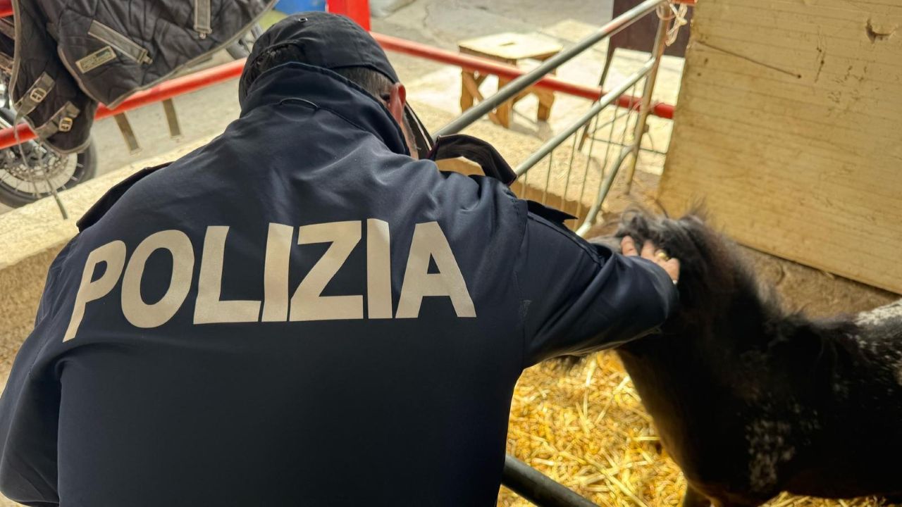Maxi controlli della Polizia a San Cristoforo: sanzioni per 100mila euro
