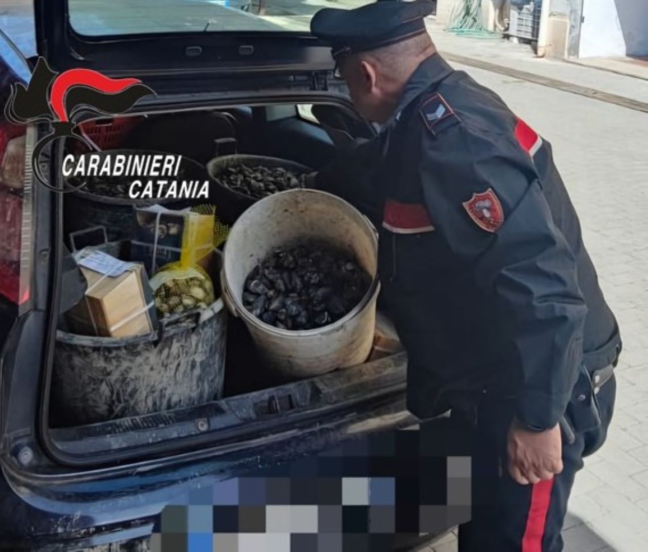 Giarre, trovati 90 chili di molluschi senza tracciabilità: fermato 31enne