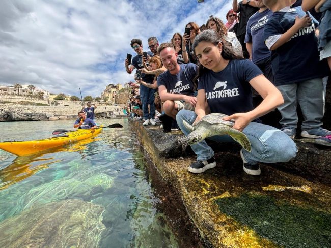 Giornata mondiale delle tartarughe: domenica 25 maggio Plastic Free libera 4 esemplari in mare a Castro in Salento