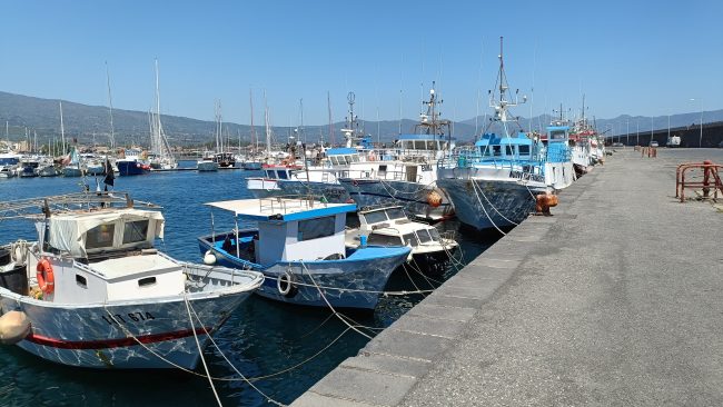 Il tonno rosso sta svuotando il Mediterraneo e affondando la pesca tradizionale