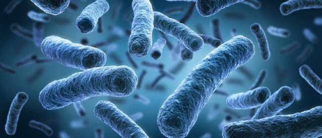 Scatta il sospetto legionella a Palermo: prime analisi dell’Amap