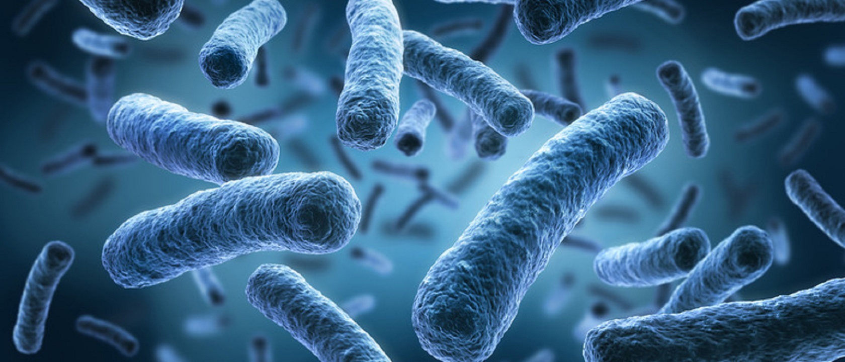 Scatta il sospetto legionella a Palermo: prime analisi dell’Amap