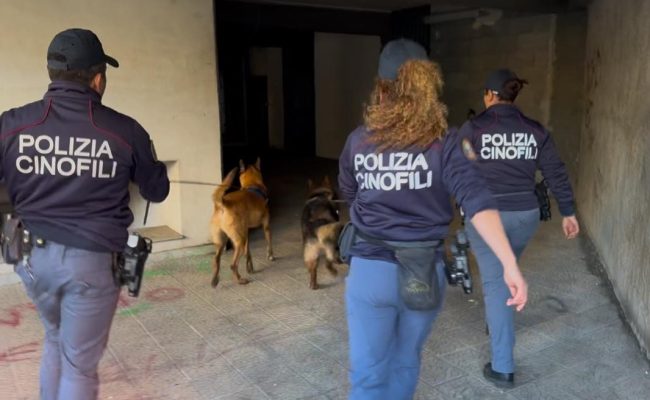 Il fiuto di “Maui” smaschera una base per la produzione di spinelli a Catania