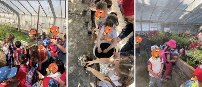 I piccoli dell’infanzia dell’I.C. “Federico De Roberto” in visita al Valdisavoia di Catania tra natura, digitale e sostenibilità