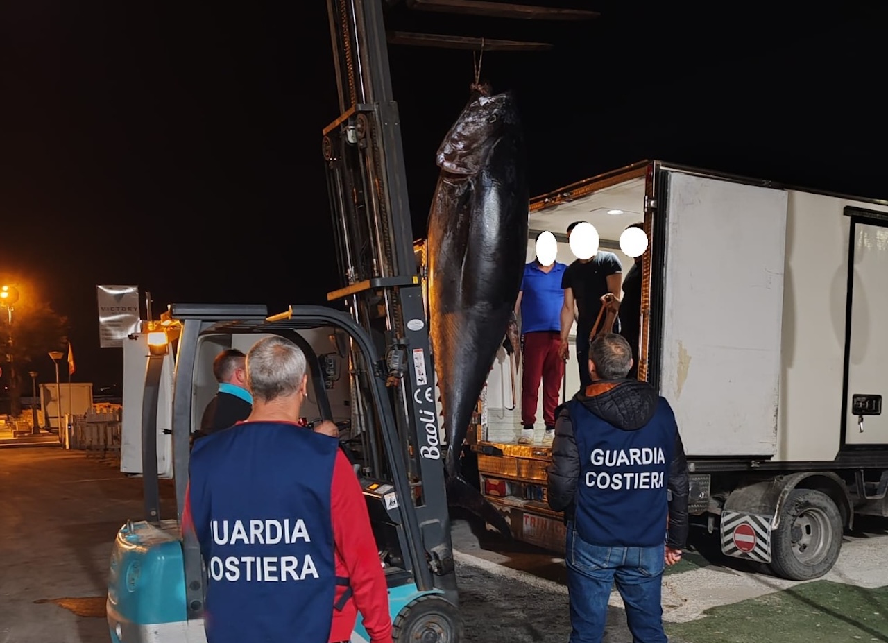 Tonnellate di tonno sequestrato e multe salatissime: i controlli tra i porti siciliani