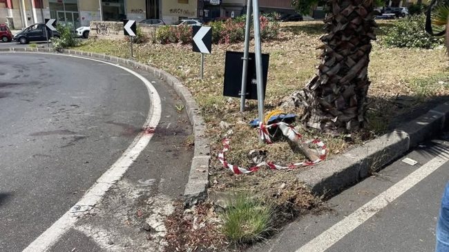 Catania, calesse urta segnale stradale: cavallo ferito e sanguinante in strada