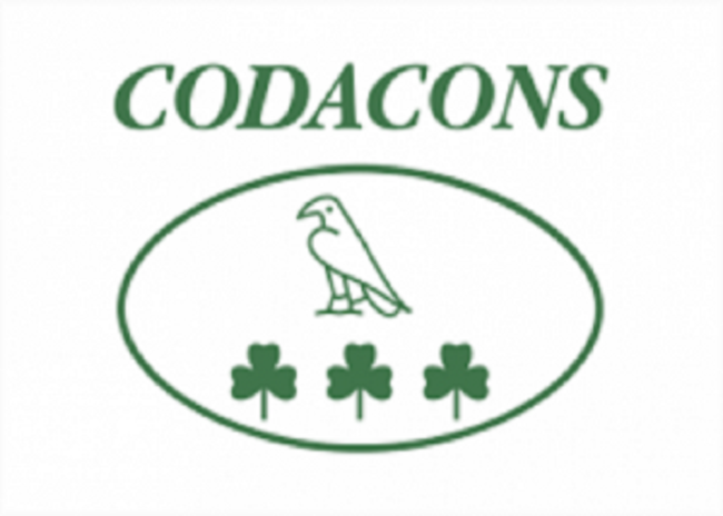 Il Codacons sull’aumento di spese da parte della Regione Siciliana