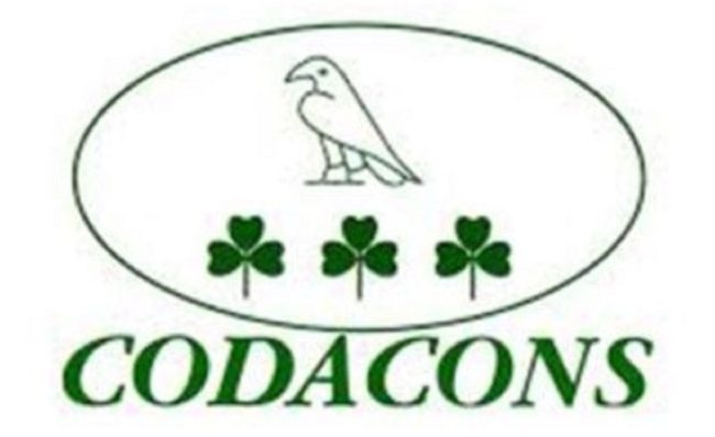 Roaming all’estero, l’allarme del Codacons: “Bastano pochi minuti di connessione per generare costi elevati”