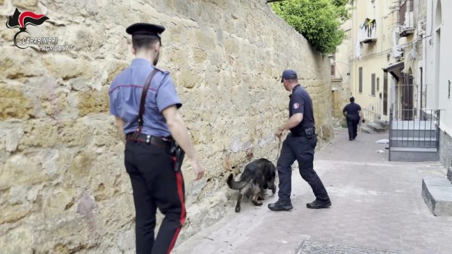Agrigento, coordinati nuovi controlli con l’ausilio delle Unità cinofile di Palermo