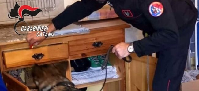 Zafferana Etnea: denunciato un 21enne per detenzione illegale di munizionamento. Segnalato anche un giovane per uso personale di stupefacenti