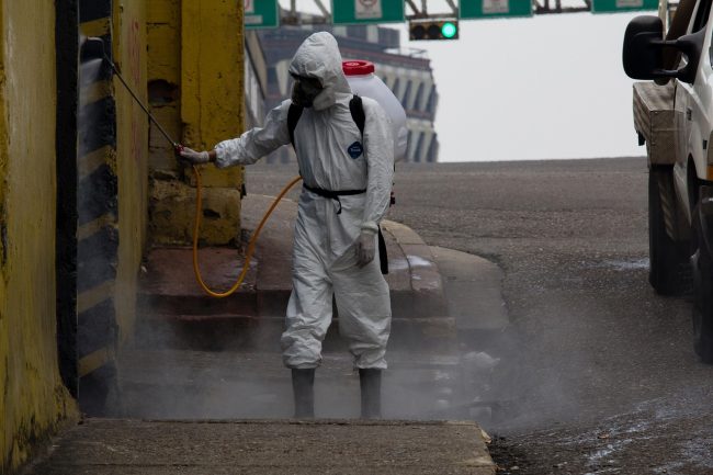 Messina, al via la campagna di disinfestazione estiva