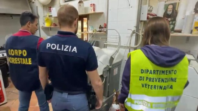 Schiacciatella o scarafaggi? Chiuso un panificio di via Umberto