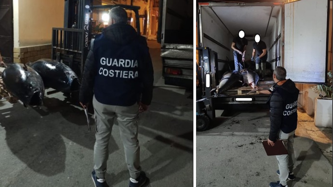 Maxi sequestro di quasi 5 tonnellate di tonno rosso privo di tracciabilità a Portopalo di Capo Passero