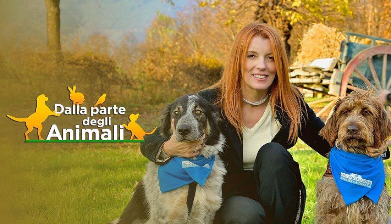 Tutela degli animali, approvato il DDL che inasprisce le pene per chi commette violenza