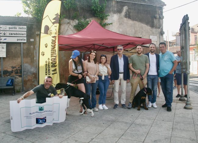 Un microchip, un progetto di accoglienza e… tanto cuore. A Camporotondo anche così la lotta al randagismo   