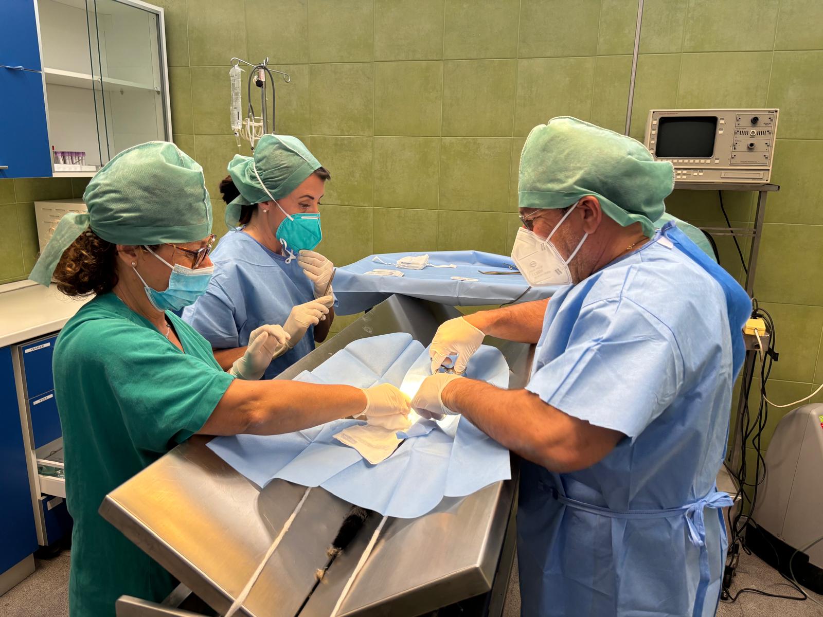 Catania, per la prima volta nella sanità pubblica siciliana entra in servizio un Tecnico Veterinario