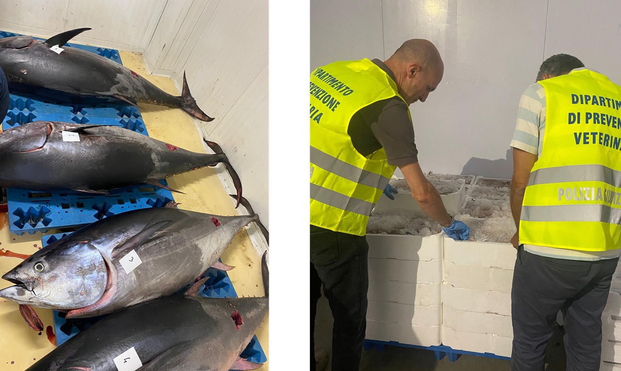 Donate oltre 66 tonnellate di Tonno Rosso: l’Asp di Catania guida la lotta contro lo spreco alimentare