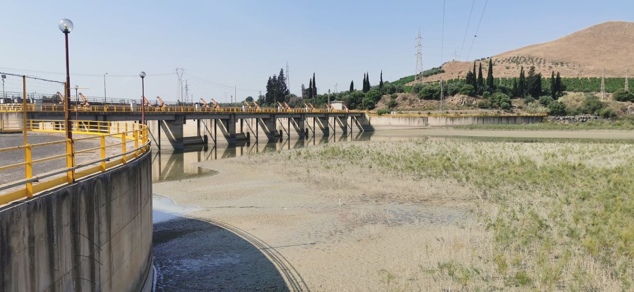 Siccità in Sicilia: una situazione in bianco e nero. L’analisi del presidente di Confagricoltura Catania