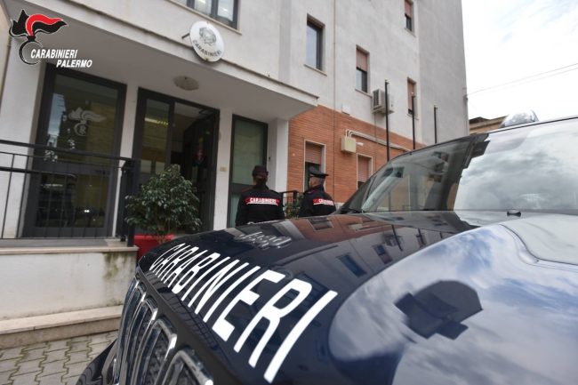 Ben 22 tartarughe protette vivevano illegalmente in giardini privati: la denuncia a 2 anziani