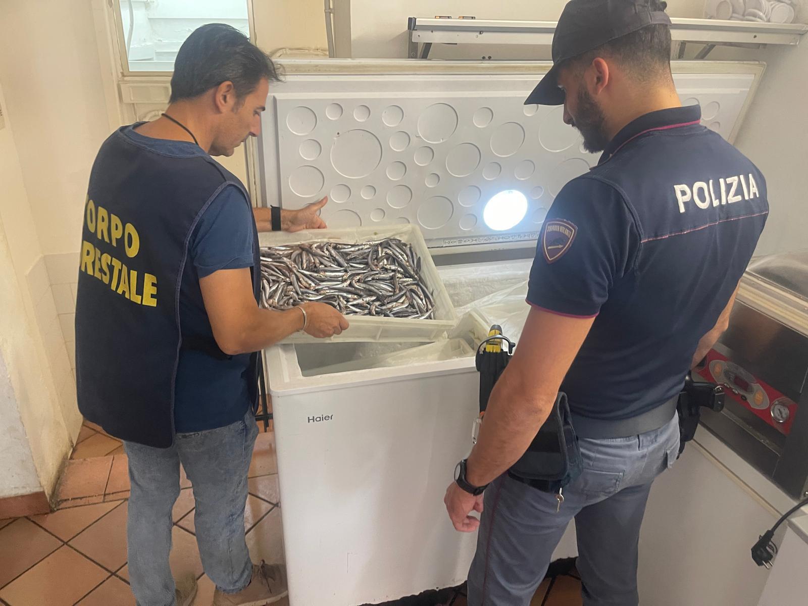 Lavoratori in nero e blatte, nel mirino due ristoranti di Aci Trezza – VIDEO