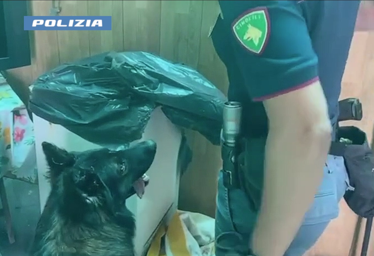 Nascondeva la droga in freezer: gli “stupefacenti” surgelati di un 61enne catanese