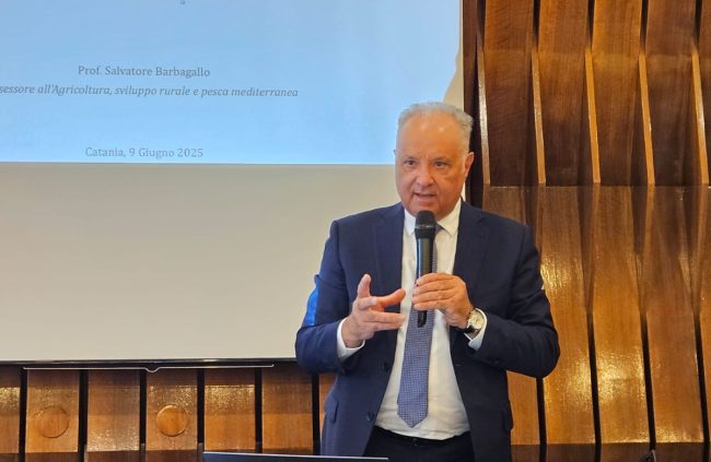 Agricoltura, in Sicilia più acqua ed interventi. All’Ars si vota la riforma dei Consorzi di bonifica